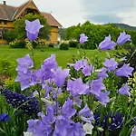 Hotell Negarden 1897