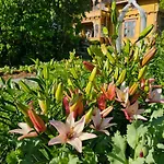 Negarden 1897 Otel Asnes